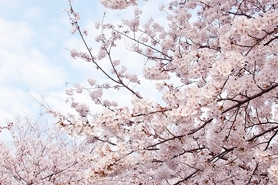 宇宙人たちと遭遇しました。|連載コラム モテイロコーディネーターへの道