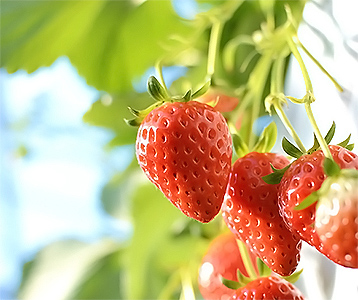 インストラクターってなに？｜連載コラム モテイロコーディネーターへの道