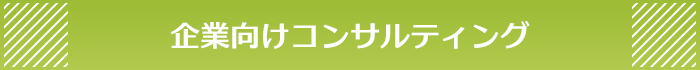 企業向けコンサルティング