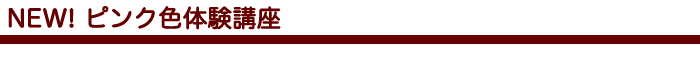 大人気のモテ色ピンクセミナー をポイントだけ!短時間で習得出来る体験講座